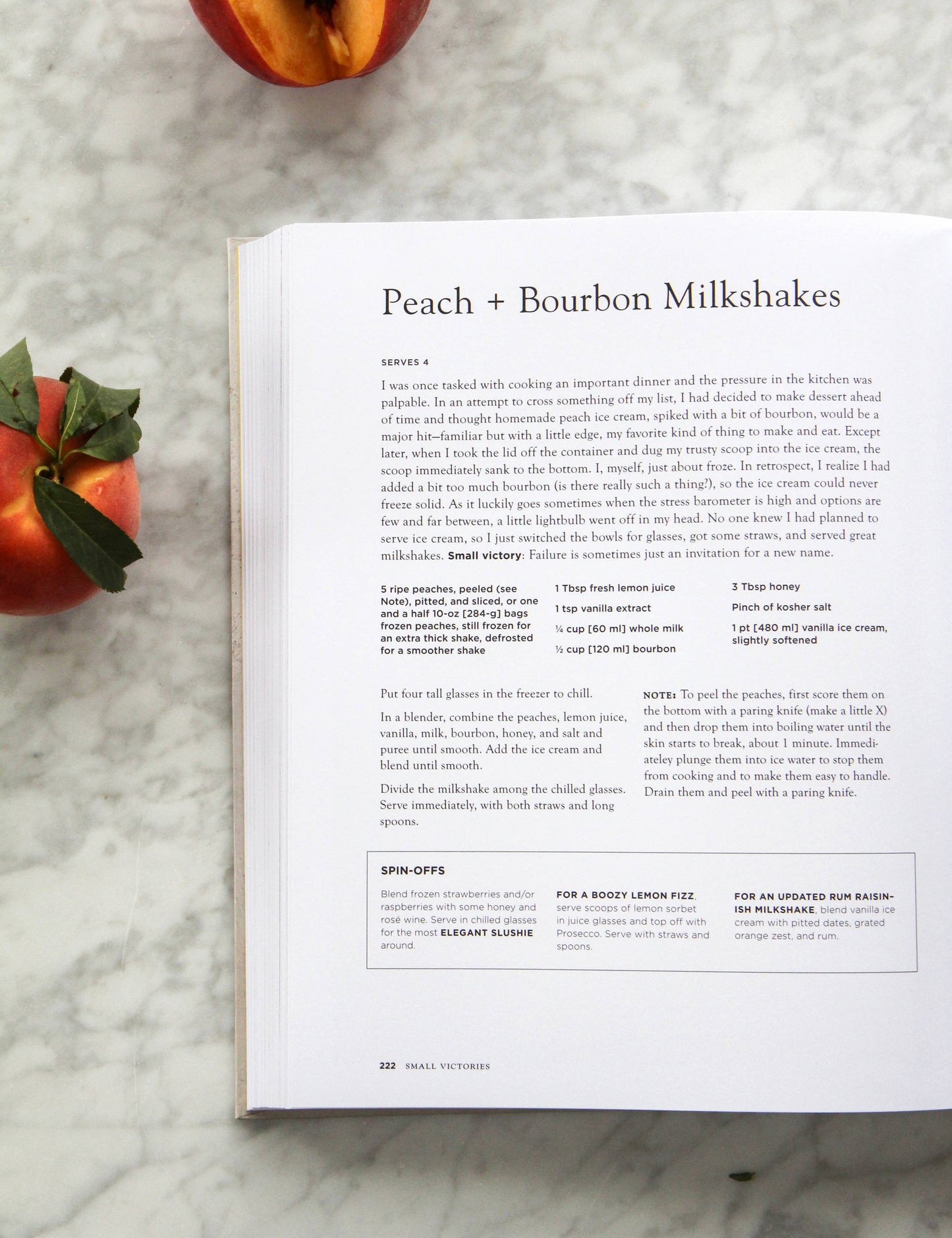 Small Victories Book