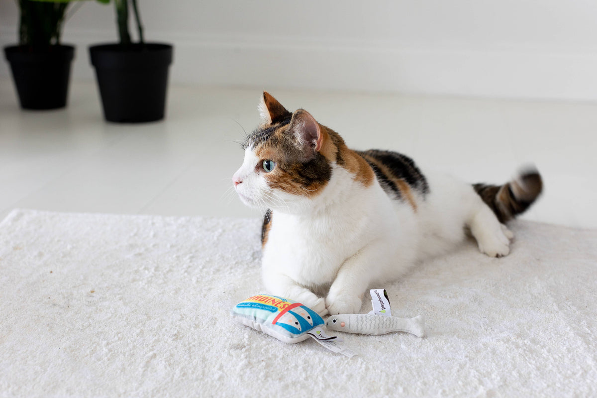 Sardines Cat Toys