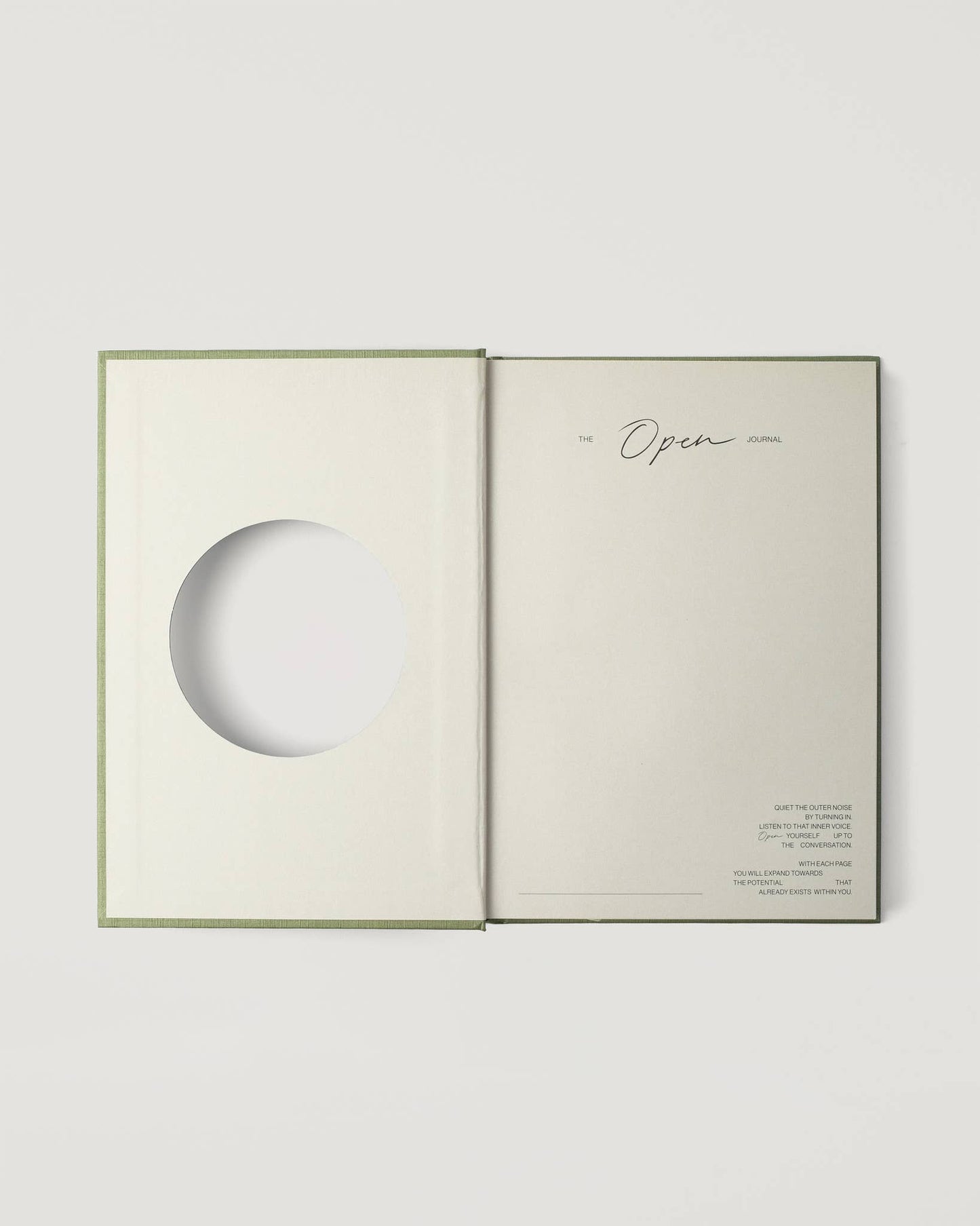 Open Journal in Moss (Wilde)