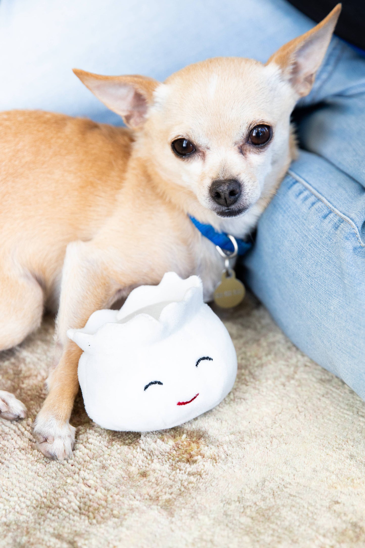 Dim Sum Pet Toys