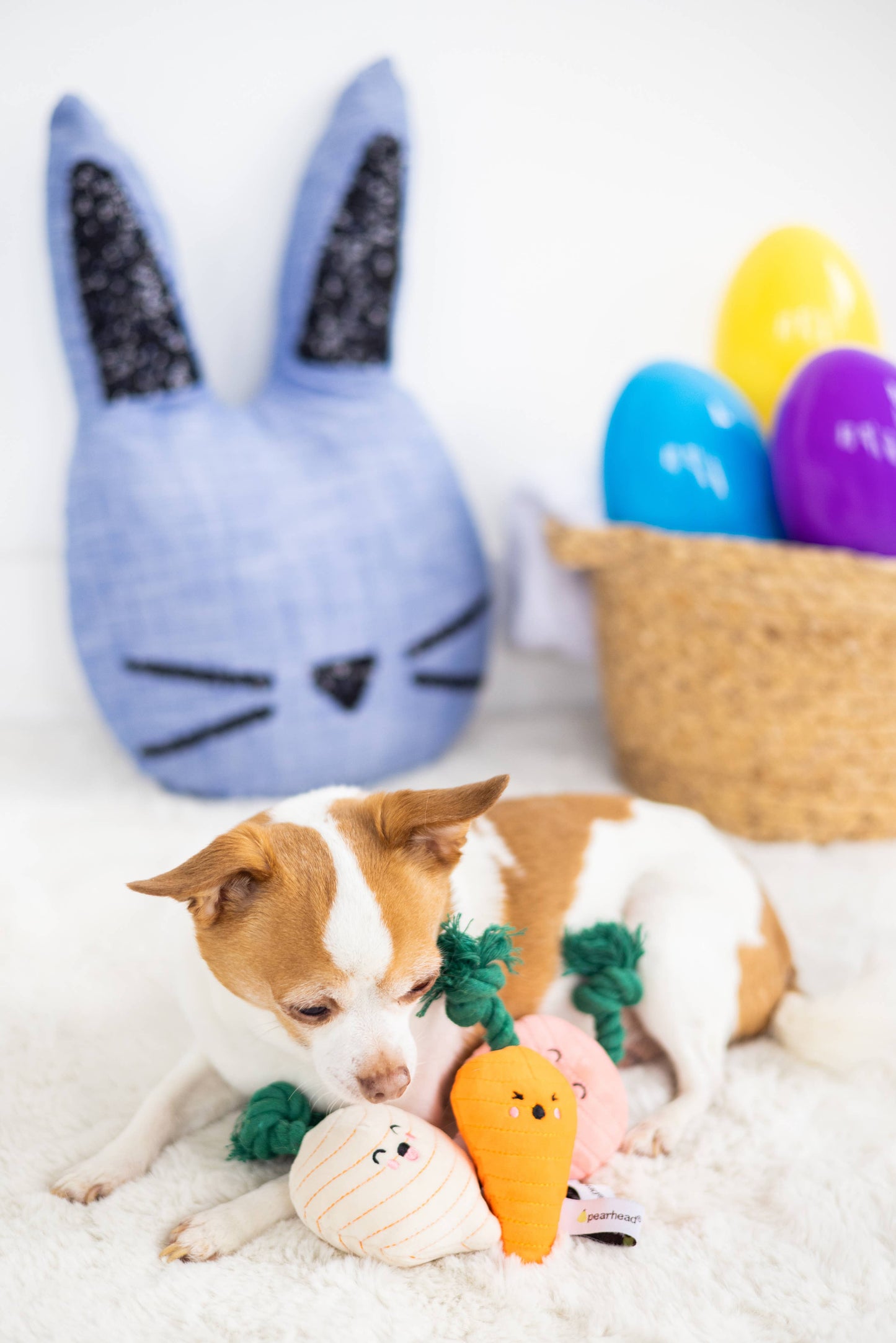 Veggies Dog Toys