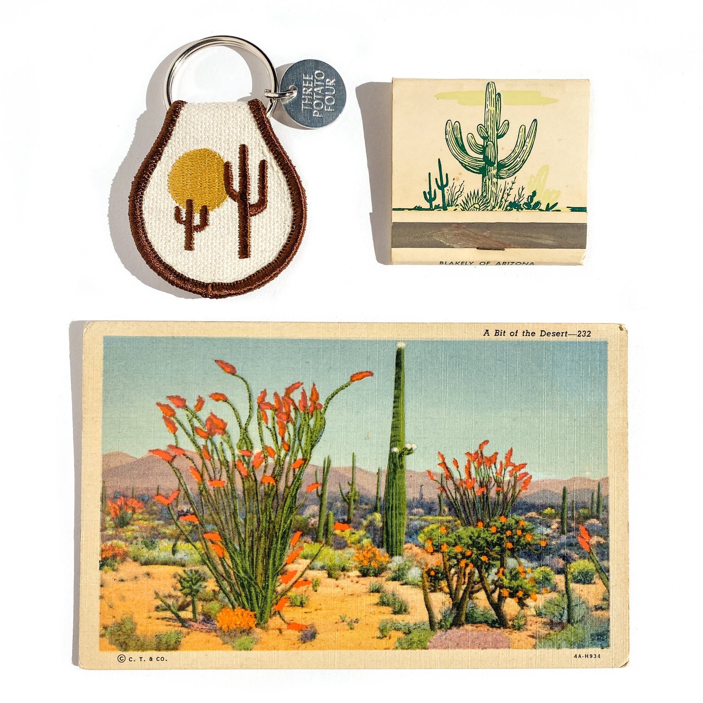 Cactus Keychain