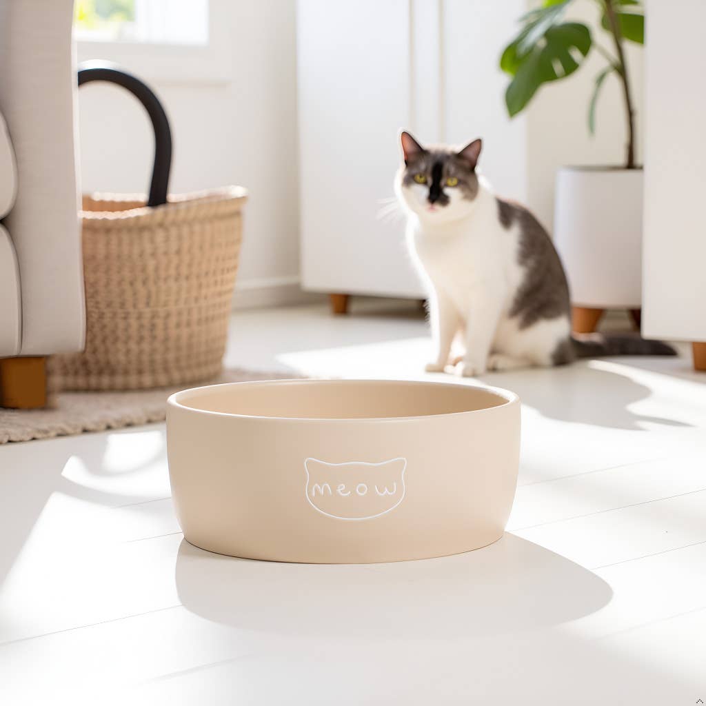 Meow Cat Bowl