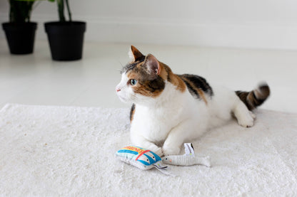 Sardines Cat Toys