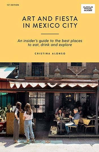 Art and Fiesta in Mexico City Book