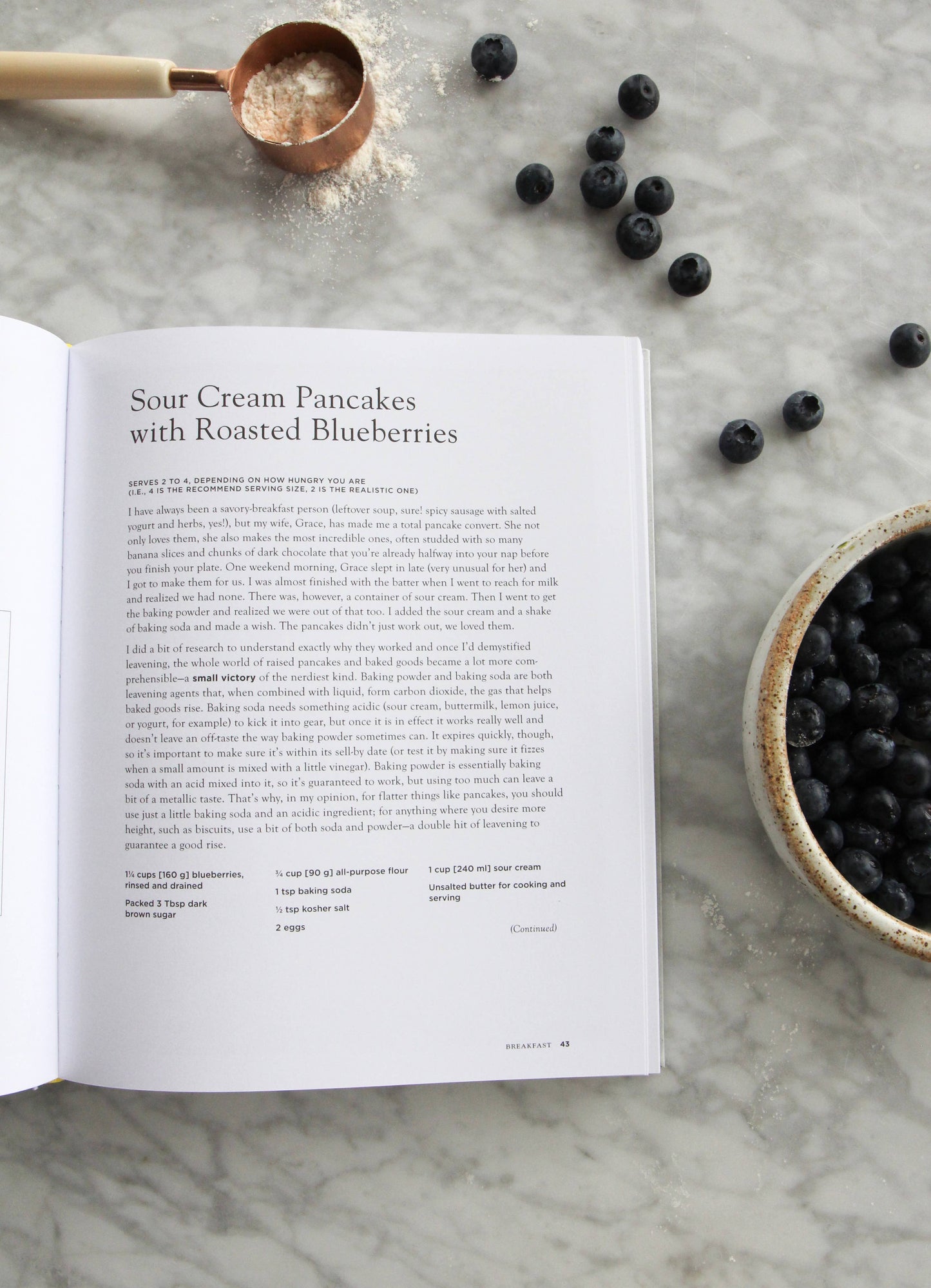 Small Victories Book