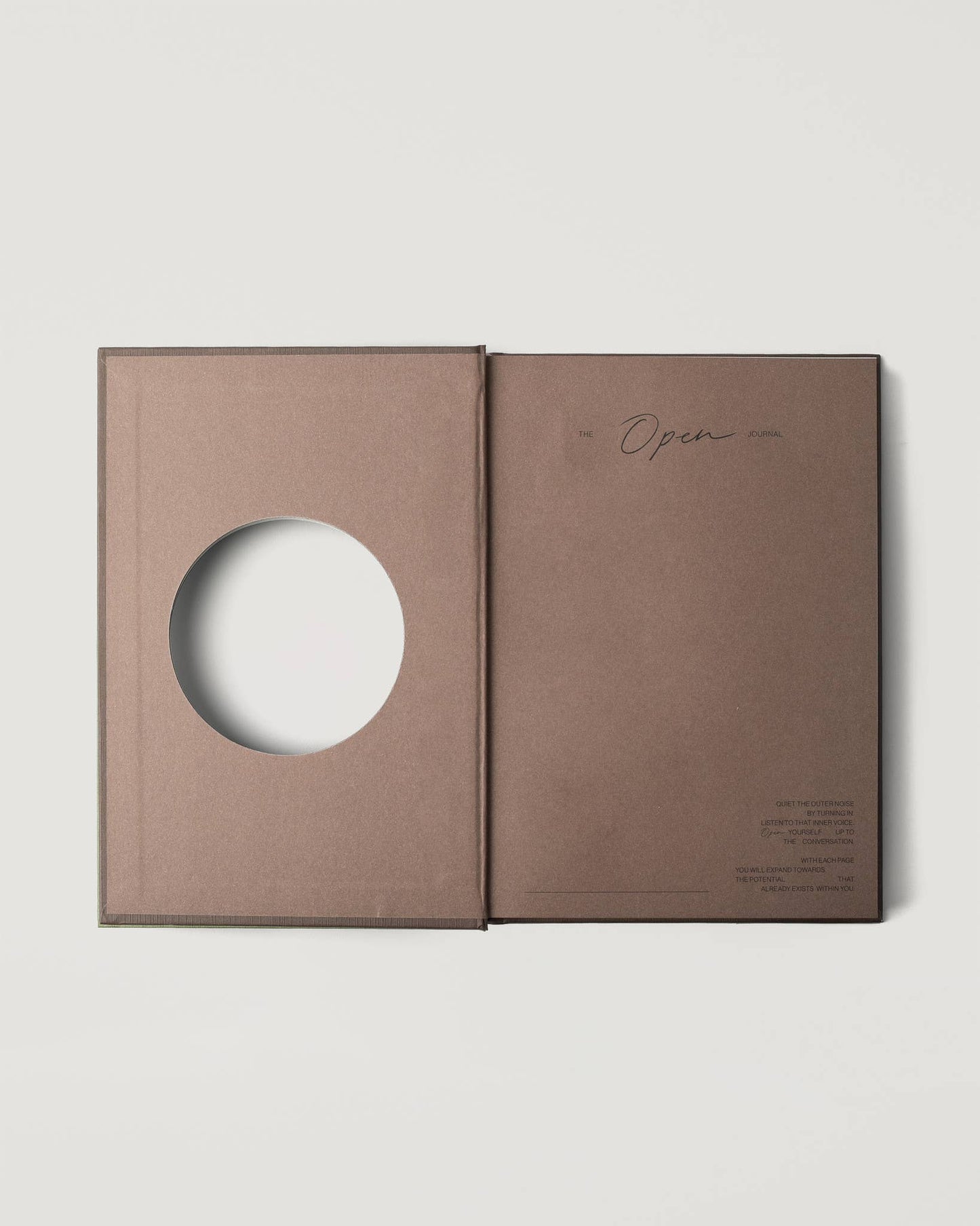 Open Journal in Brown (Wilde)