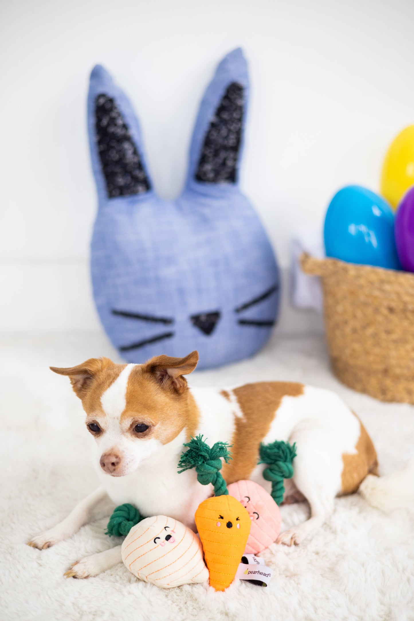 Veggies Dog Toys