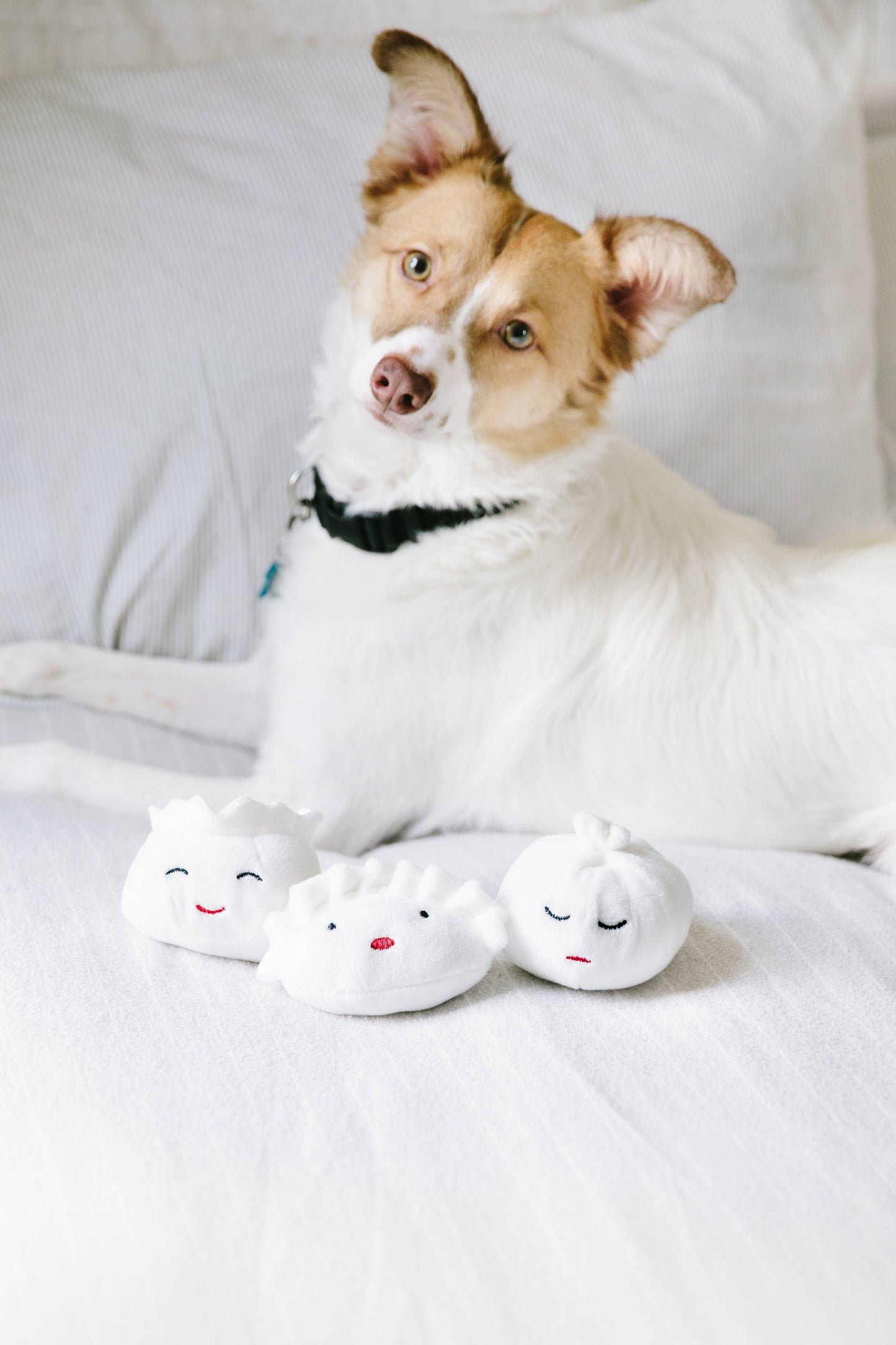 Dim Sum Pet Toys